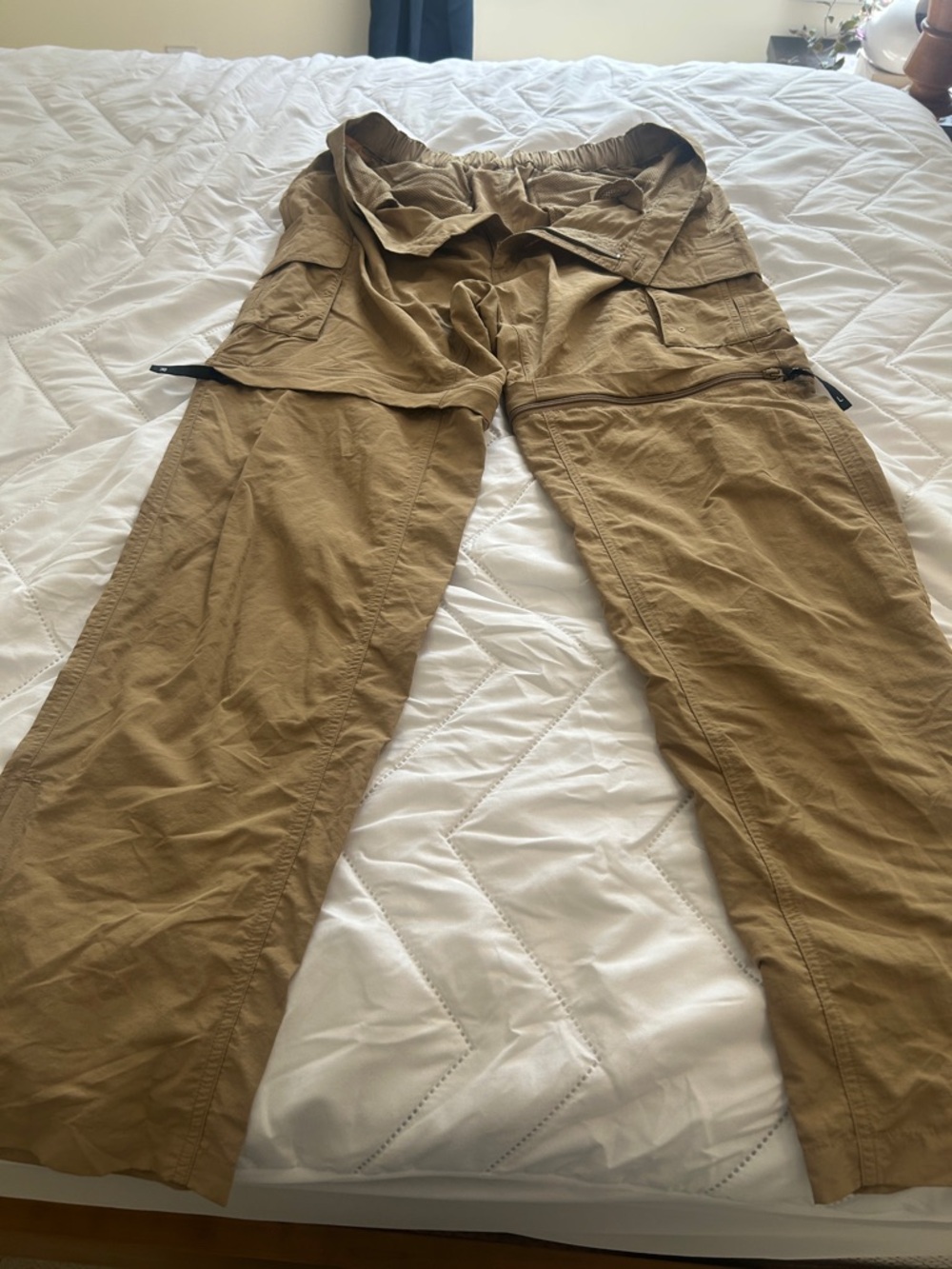 Magellan Outdoors, fish gear, Men's Zip-Off Cargo Pants - Tan